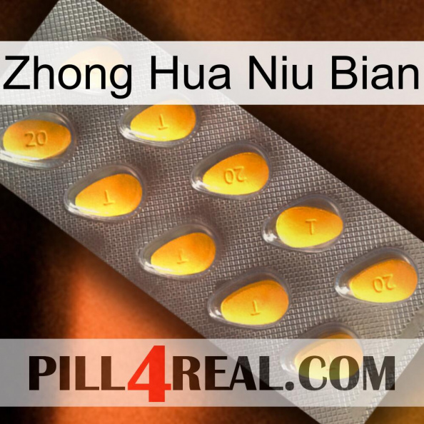 Zhong Hua Niu Bian cialis1